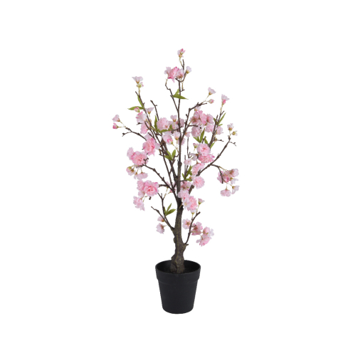 Cherry blossom planta 35x80cm. (4)