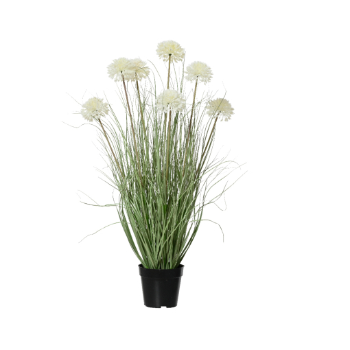 Pottaplanta Grass Allium 40x85cm. (2)